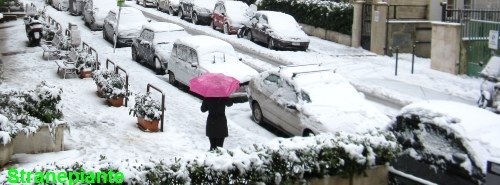 [roma%2520sotto%2520la%2520neve%25202012%255B2%255D.jpg]