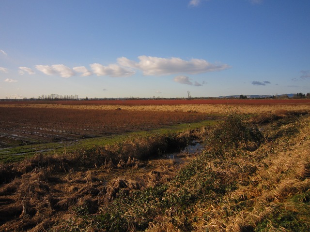 [IMG_6840%255B3%255D.jpg]