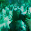 Interview Image Gallery Thumbnail