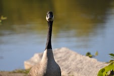 DSC_0030.JPG