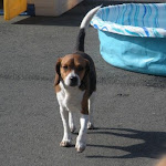 DSCN4750.jpg