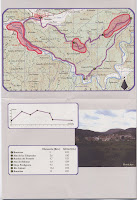 Ruta Micologica Boniches h3 Ruta Micologica Boniches h3