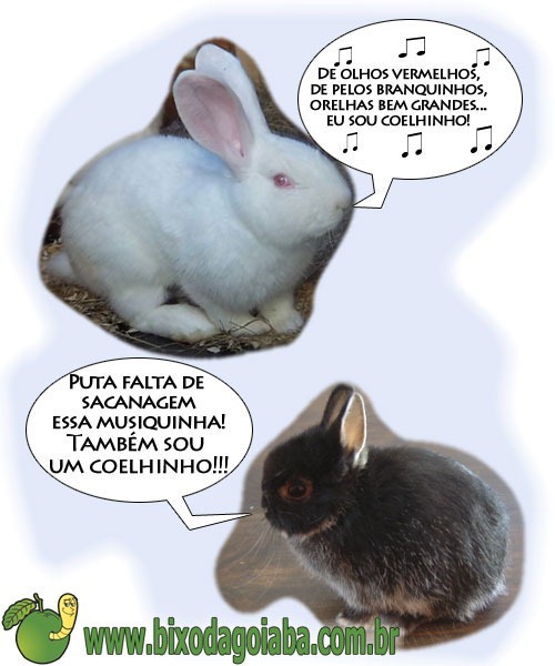 charge-coelhinho-da-pascoa