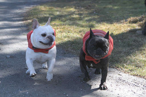 Francesca, let's go and see what the guys are up to.