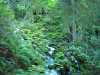 columbia_river_gorge