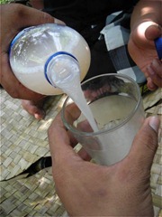 Microbial of fermented food - tuak