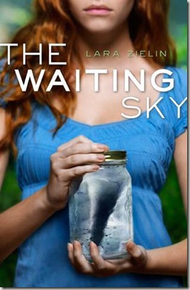 thewaitingsky thewaitingsky