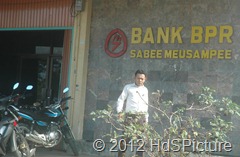 bank perkreditan rakyat