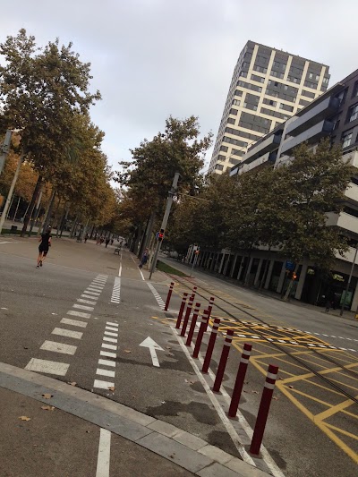 Carril bici Diagoanal / Bac de Roda - Barcelona photo (16).JPG