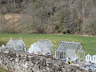 greenhouse graves @ Lot