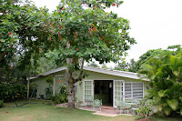 Jenni's house