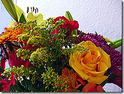 DSCF5821