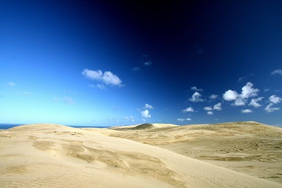 [Sand%2520dunes%2520Te%2520Paki%255B3%255D.jpg]