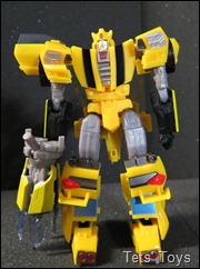 IDW Bumblebee