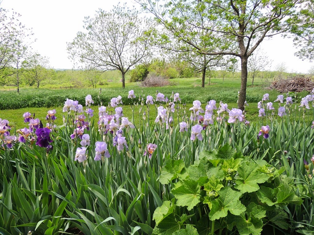 [DSCN8989%255B3%255D.jpg]