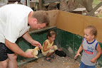 p1295964877(13).jpg