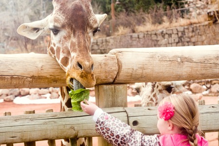 03 28 13_soph giraffe 4