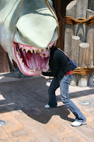Shark attack!