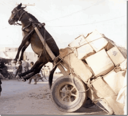 blog-tour-overload-65884