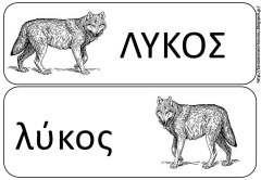 ζ23 ζ23