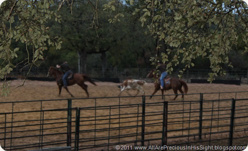Chrissie's bday roping.Selah's 1st bday party 076