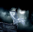 Night Fall In The Moonlight