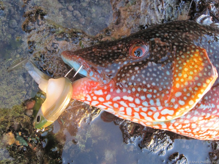 [IMG_1366%255B9%255D.jpg]