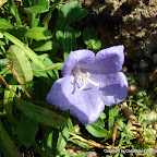 Eindrücke der Bundesgartenschau 2009
