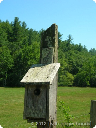 DSCN0276