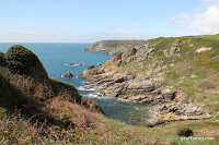 IMG_7953.JPG Photo