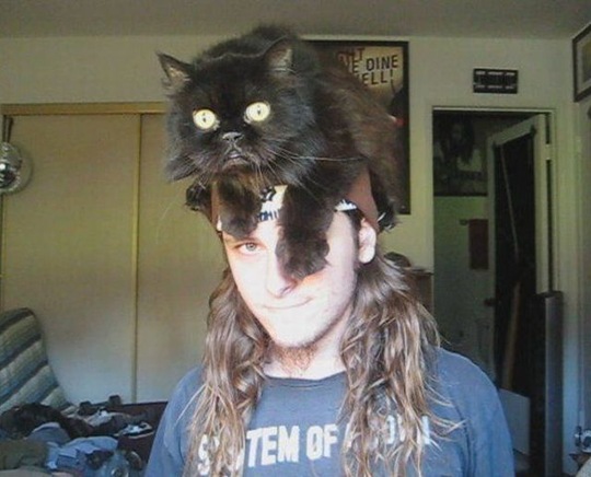 [viral-picdump-pics-23%255B2%255D.jpg]