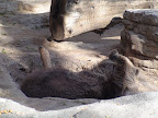 denver_zoo