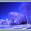 PICT1284_0168a.jpg