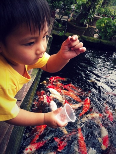 Best Place to Feed Fish