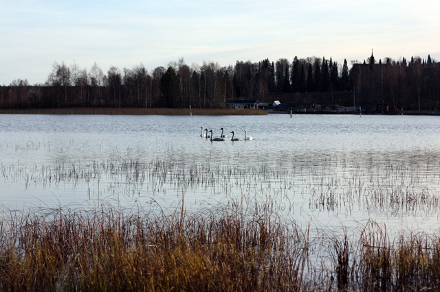 IMG_3860 IMG_3860