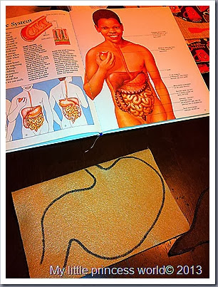 My little princess world