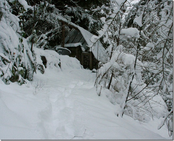 snowdays8