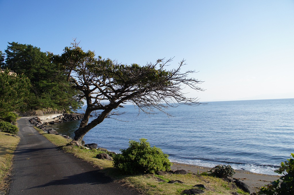 [DSC01813%255B4%255D.jpg]