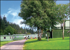 Holiday Parks in Northumberland