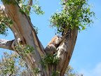 P1020139.JPG