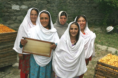 Beneficiaries of the honey production project stand as they show a bee hive in their house in Gilgit.