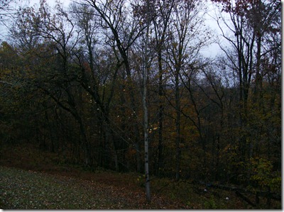 Rainy November in the Hollow Rainy November in the Hollow