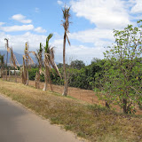IMG_0192.JPG