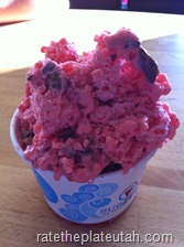 sub zero ice cream