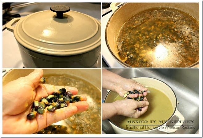 Blue Corn Masa1e Blue Corn Masa1e
