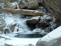P1350064.JPG