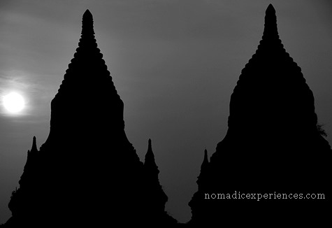DSC_0746 DSC_0746