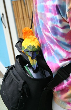IMG_4778 IMG_4778