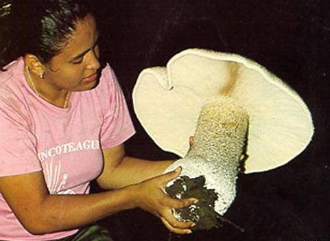 [clip_image019%255B5%255D.jpg]