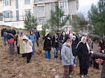 2011 Fidan Dikimi